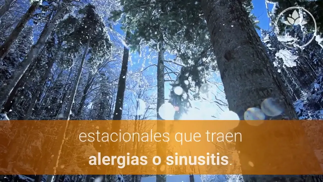 Dolor en frente y nariz por sinusitis