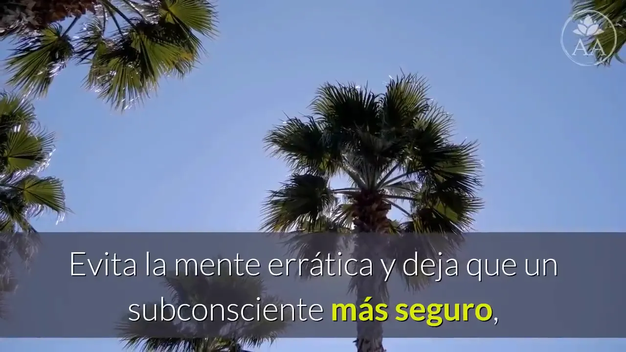 Rutina diaria: visualización por la mañana y registro por la noche