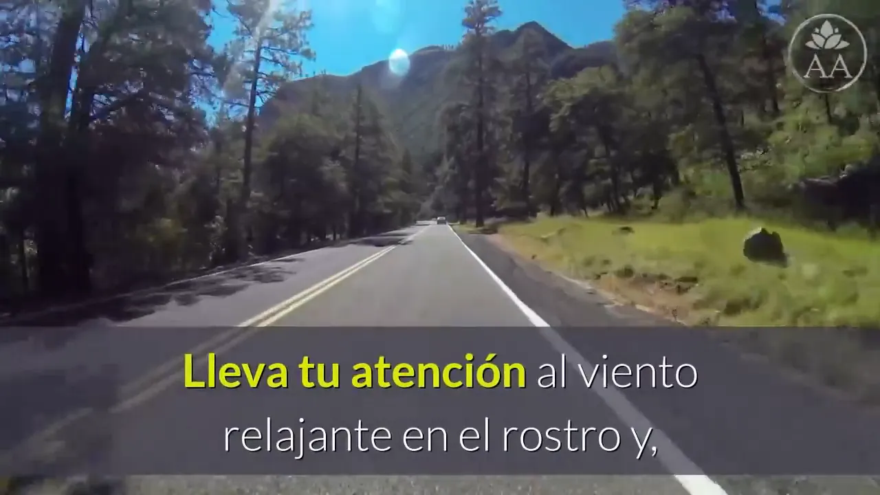Visualiza tu vida: imagina estar al volante y avanzar hacia tus objetivos