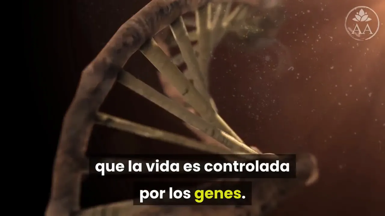 Concepto de epigenética explicado