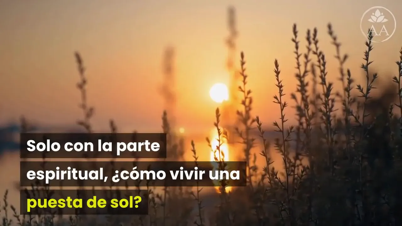 Reflexión sobre el espíritu y la experiencia sensorial