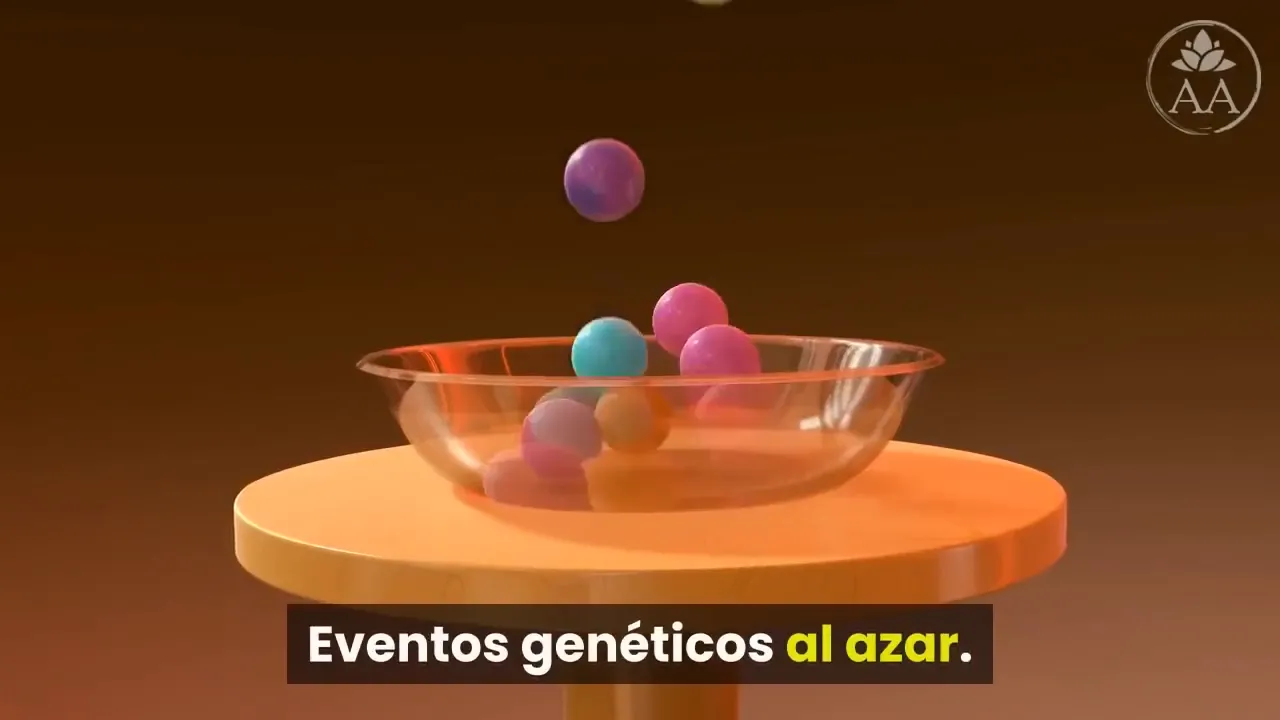 Cuarta creencia: mutaciones al azar