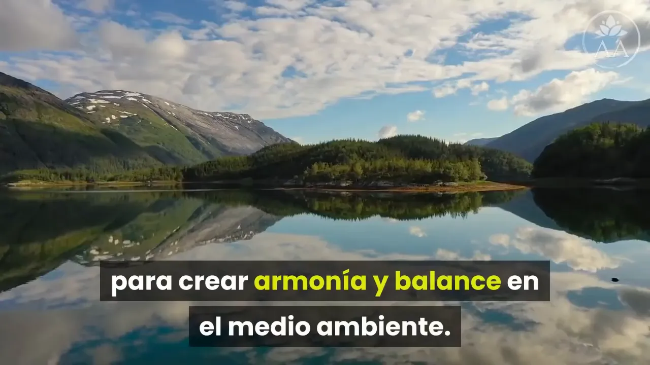 Reflexión final sobre naturaleza y balance