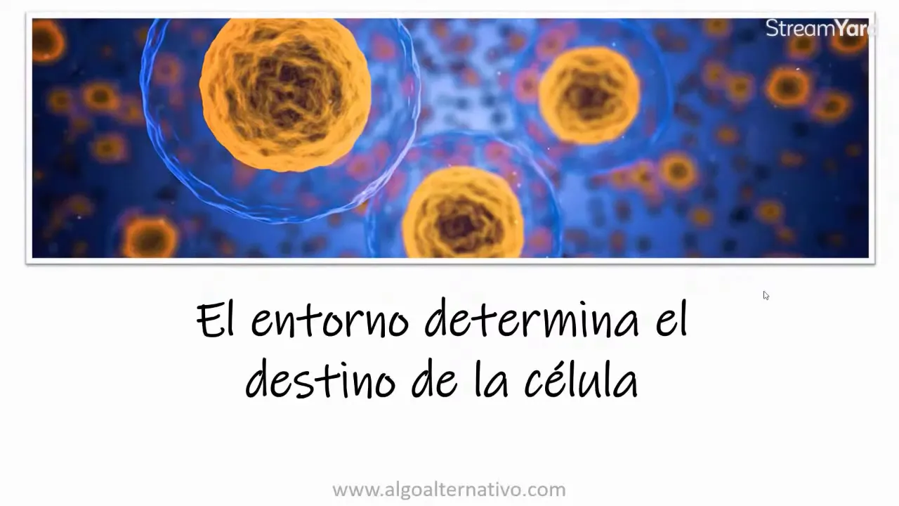 Esquema de membrana celular y concepto de memoria celular