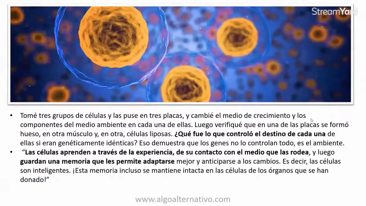 Placas con tres grupos de células mostrando hueso, músculo y células adiposas