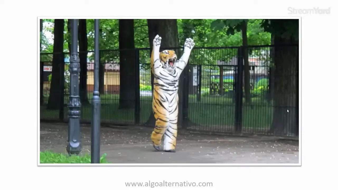 Ilustración de una persona enfrentando un tigre: imagen que explica la respuesta de huida