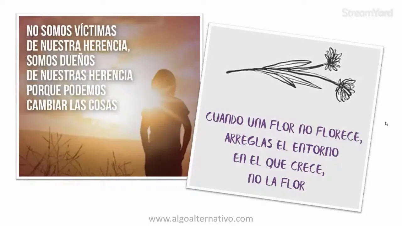 Imagen metafórica: cuando una flor no florece se arregla el entorno