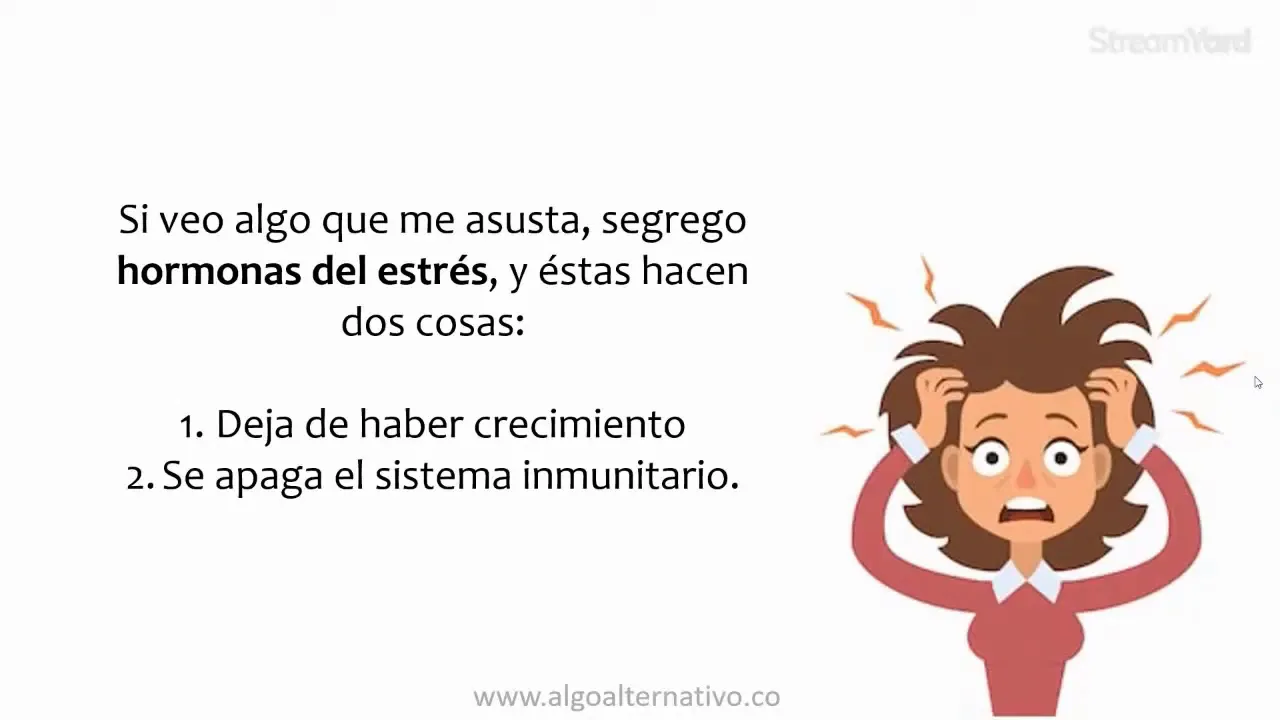 Animación mental: el cerebro no distingue lo real de lo imaginario