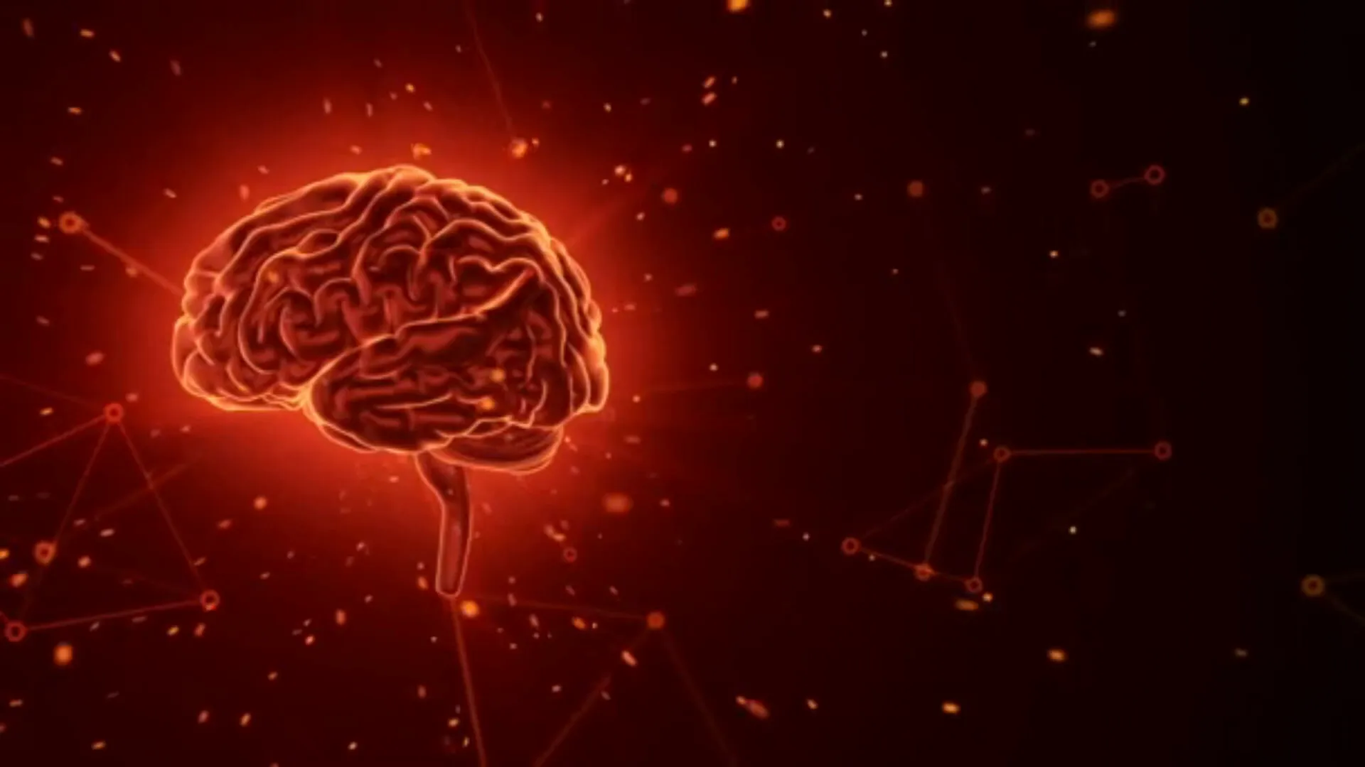 Estado de integración del cerebro