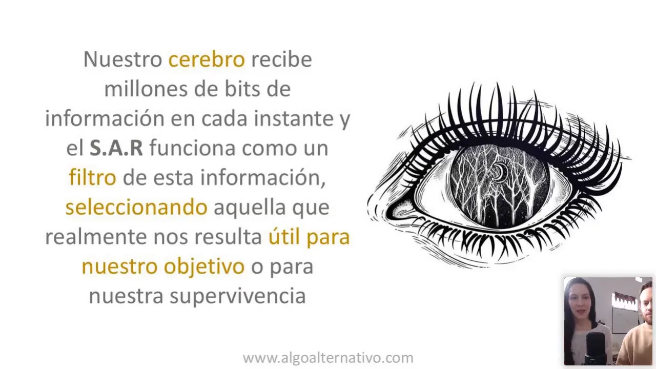 Sistema de Activación Reticular