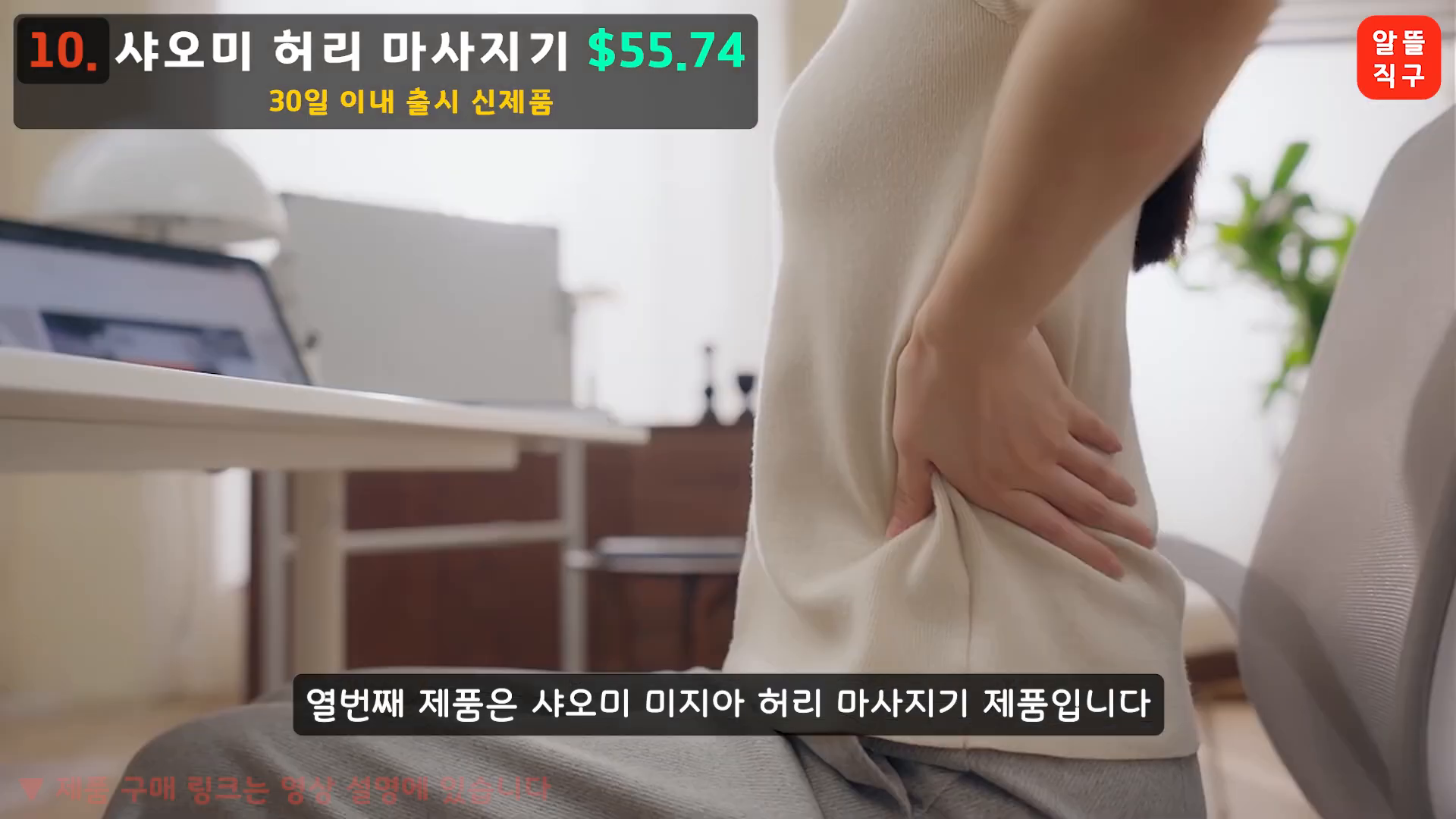 샤오미 허리 마사지기