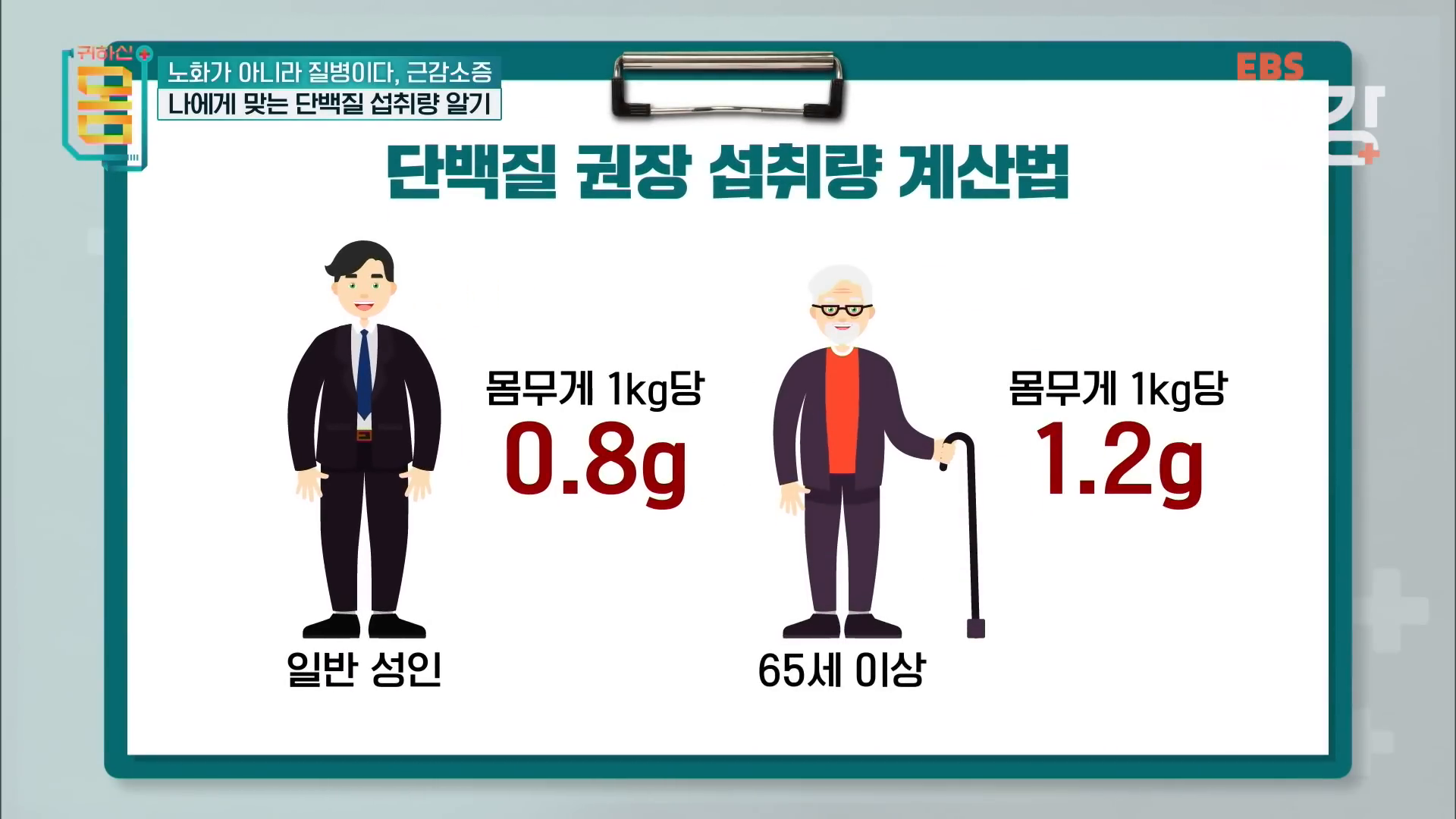 단백질 섭취량 계산