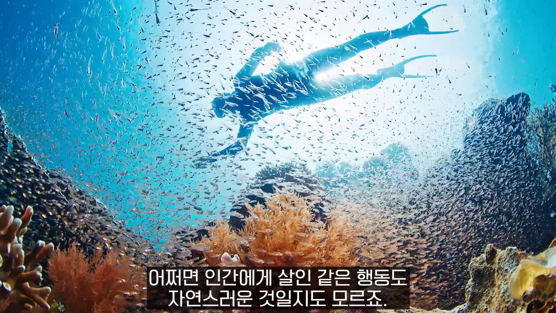 인간의 고유한 가치