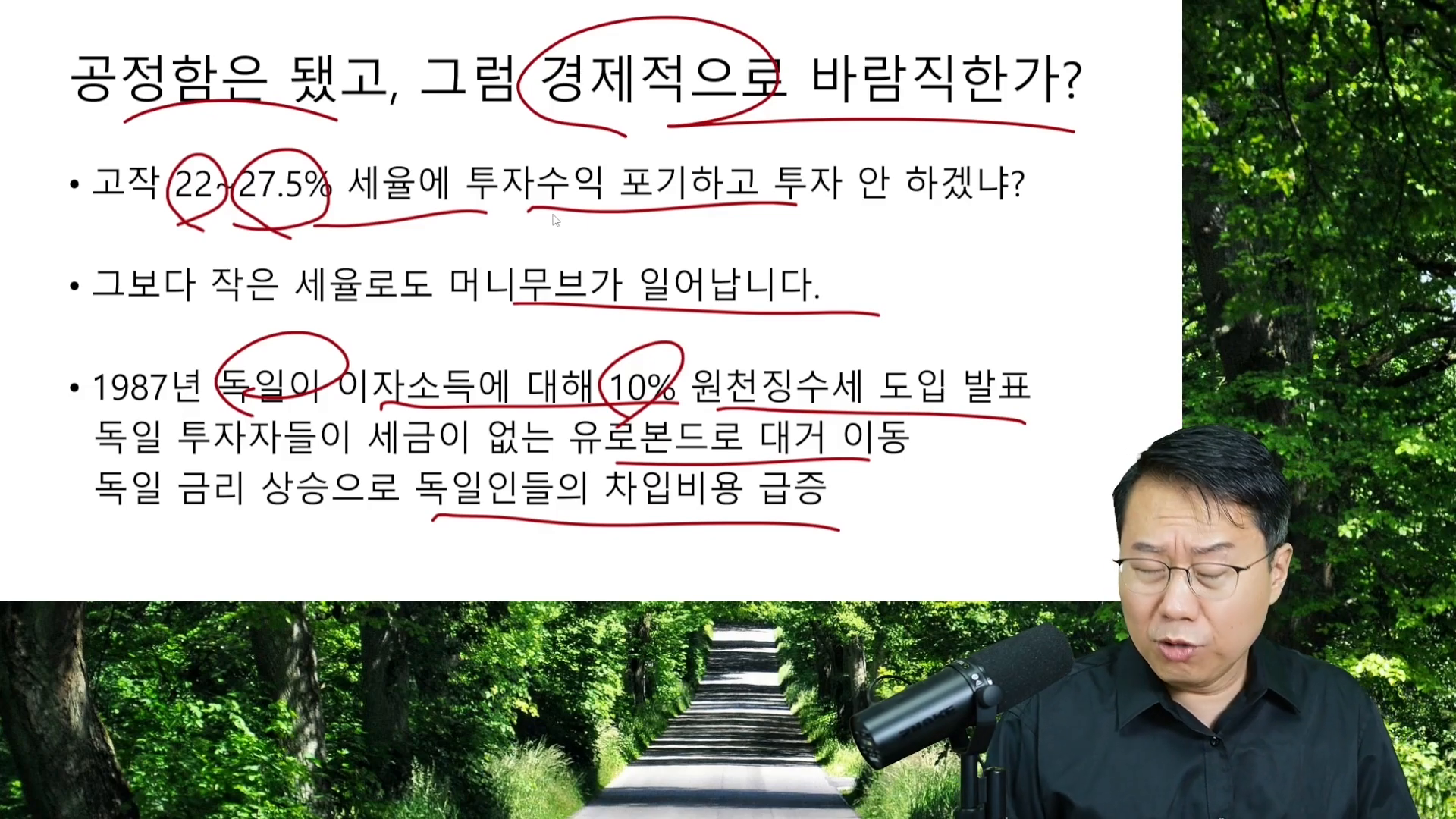 독일의 이자소득세 도입