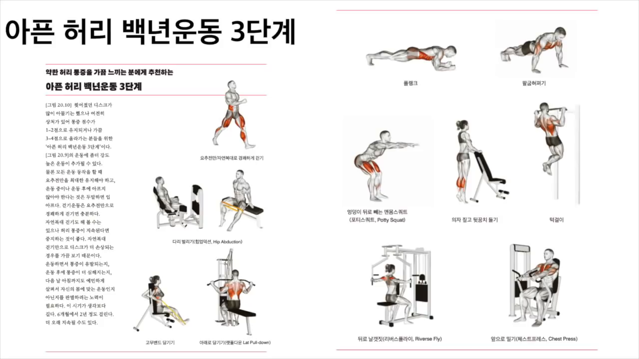 아픈 허리 백년운동 3단계 동작들 설명 이미지