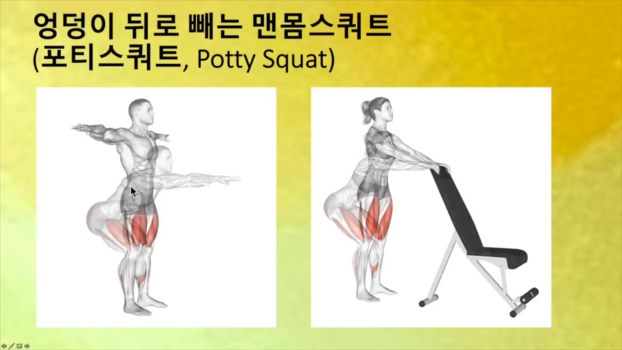 맨몸 스쿼트 자세 설명 이미지