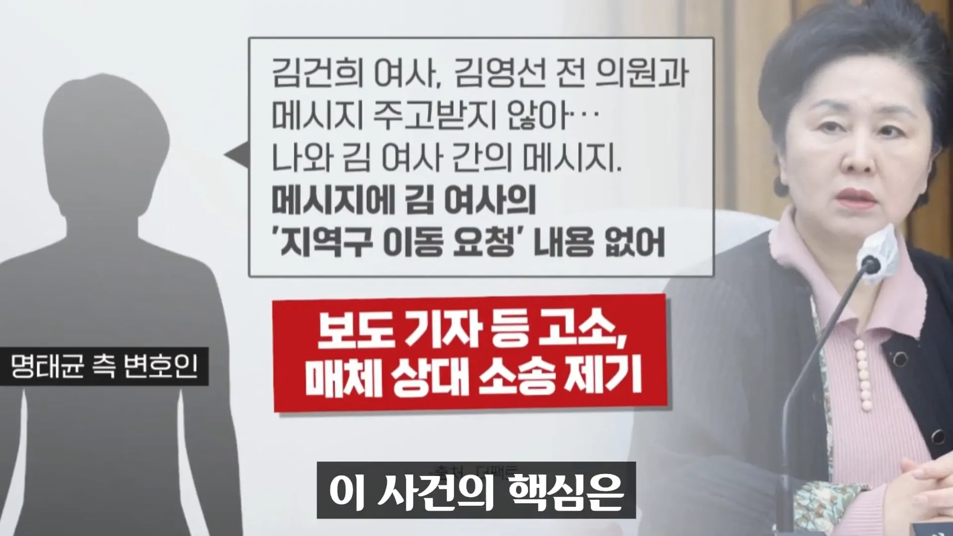 정치적 파장