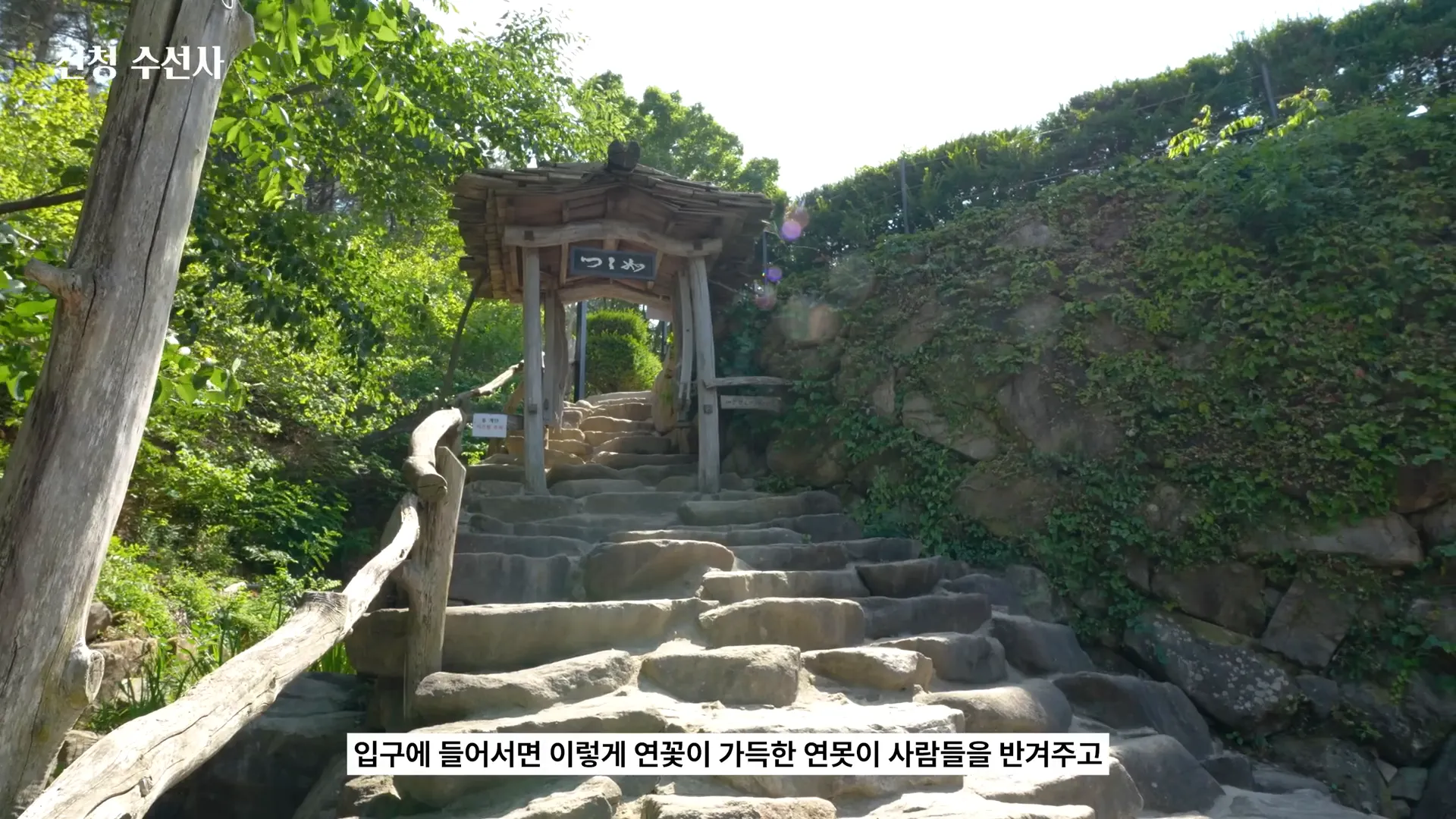 수선사 연꽃 연못