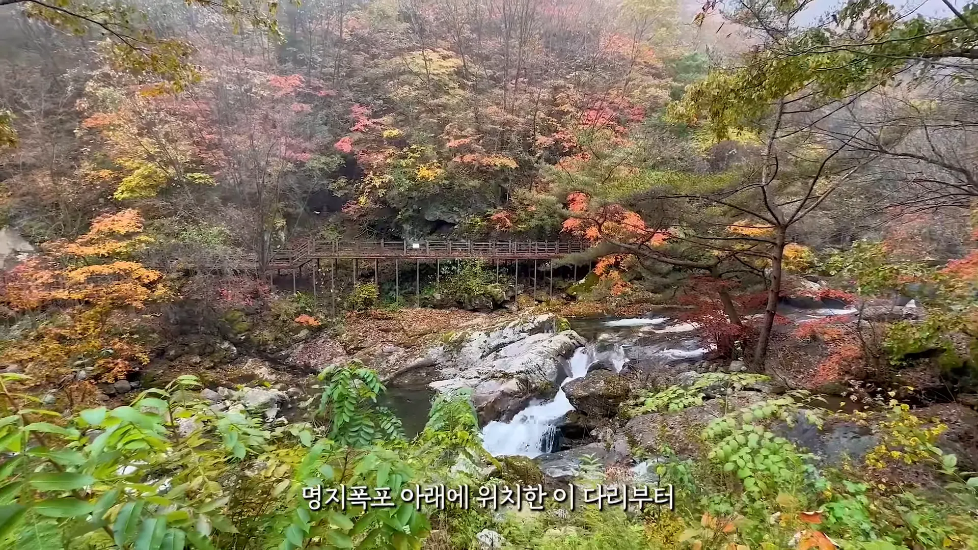 첫 번째 구름다리에서의 풍경