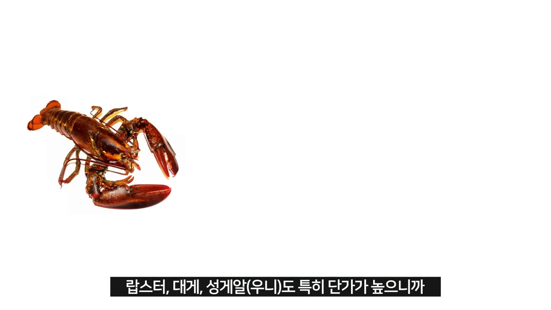 뷔페에서 맛있게 먹는 팁