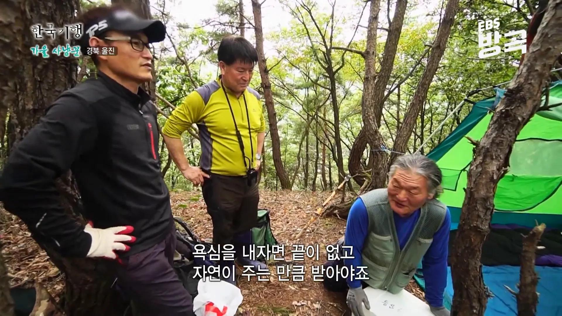 가을 산의 풍경