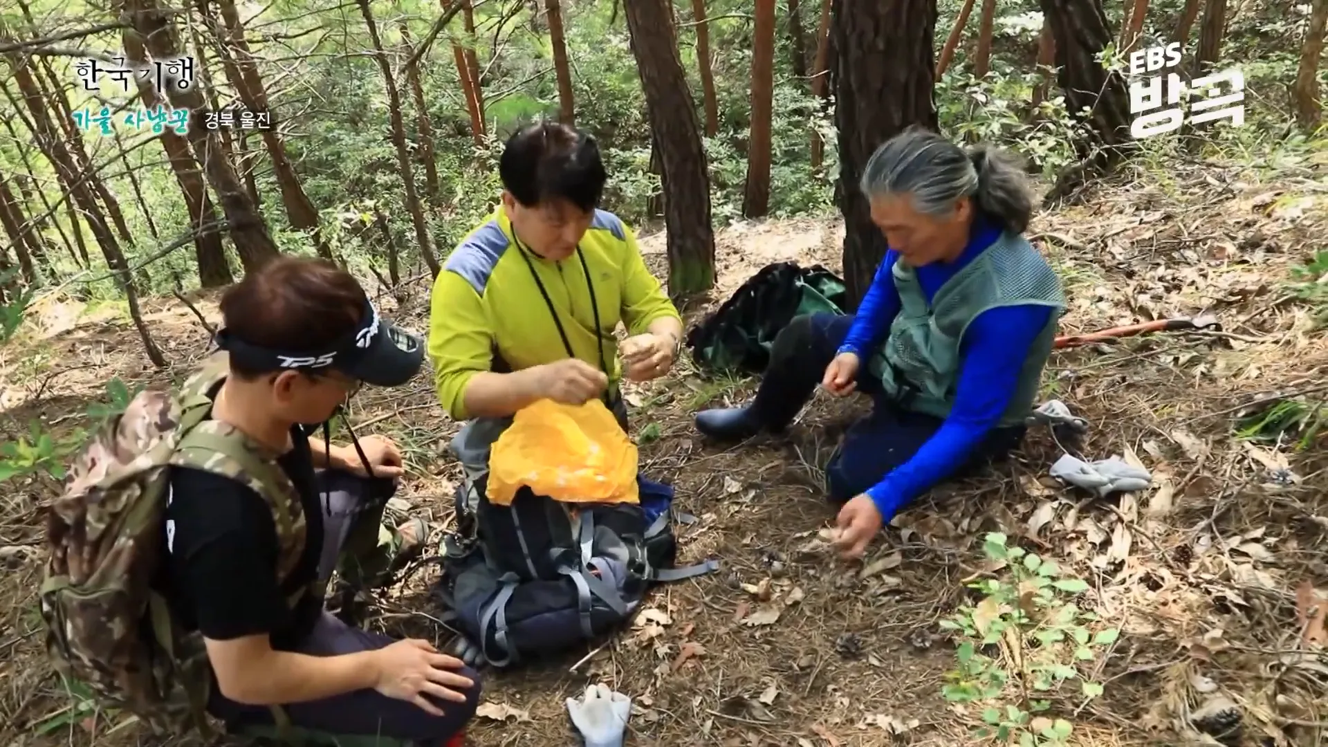 송이를 구워 먹는 모습