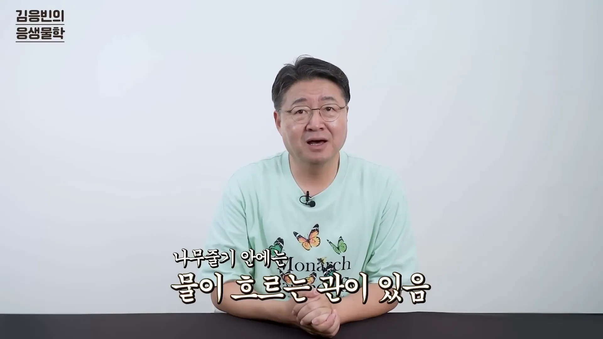 나무의 물관 구조