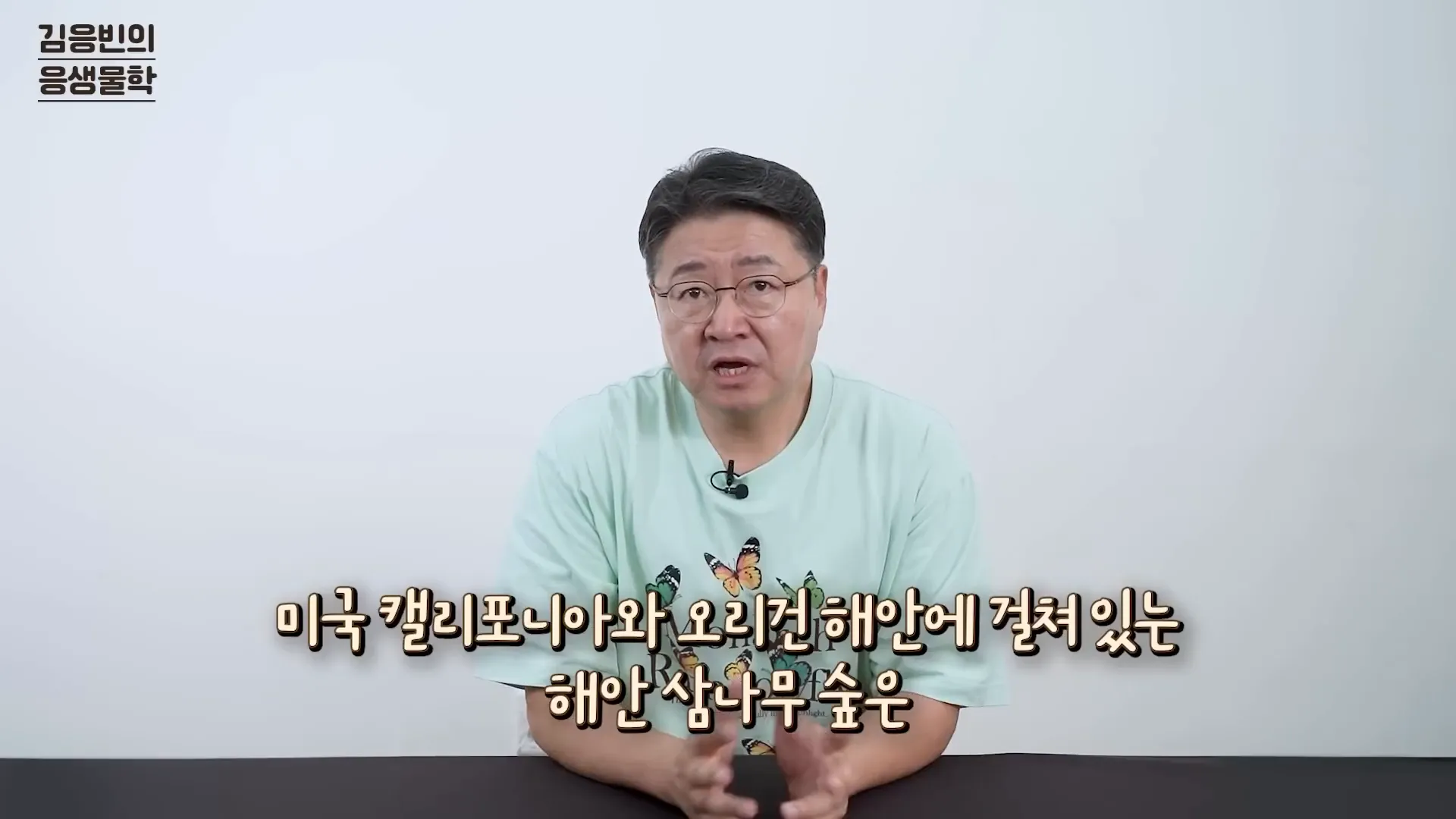 삼나무 숲의 전경