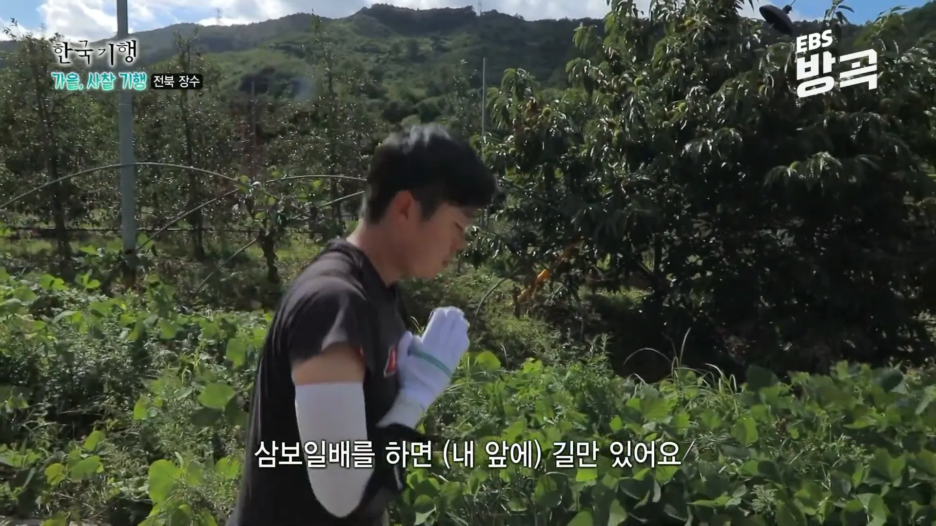 삼보일배를 하며 기도하는 스님