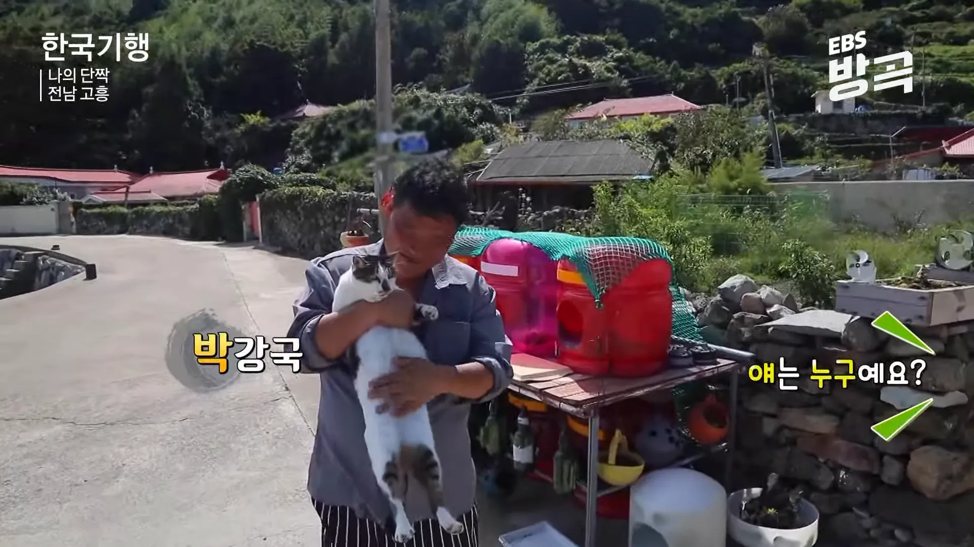 고양이들과 주민의 소통