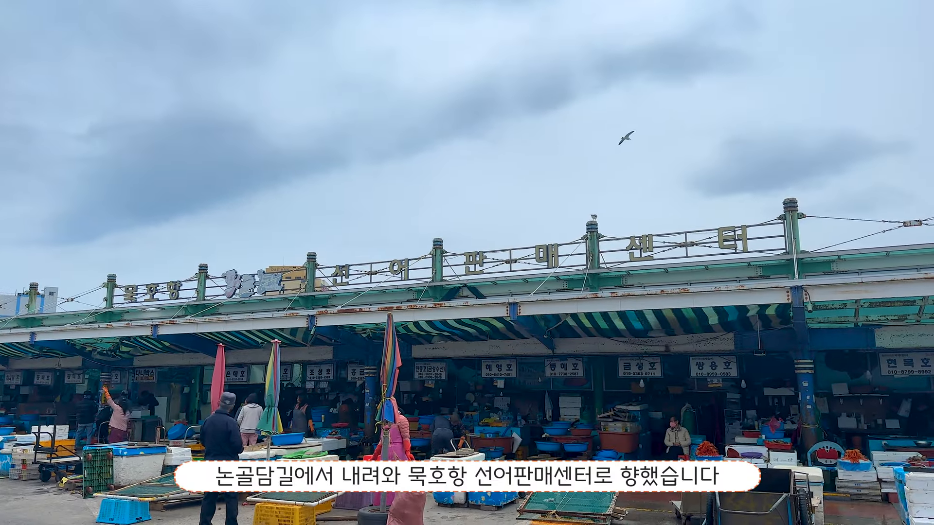 묵호항 활어판매센터