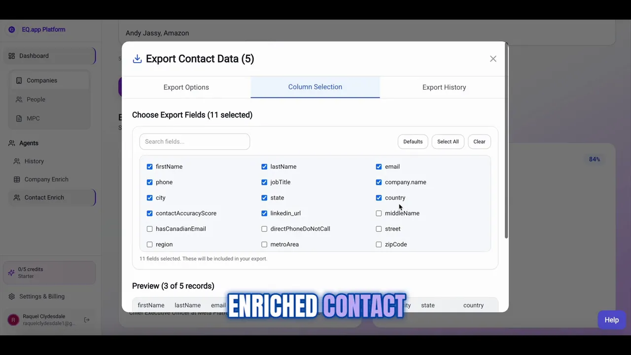 Final step: choose export or direct CRM integration