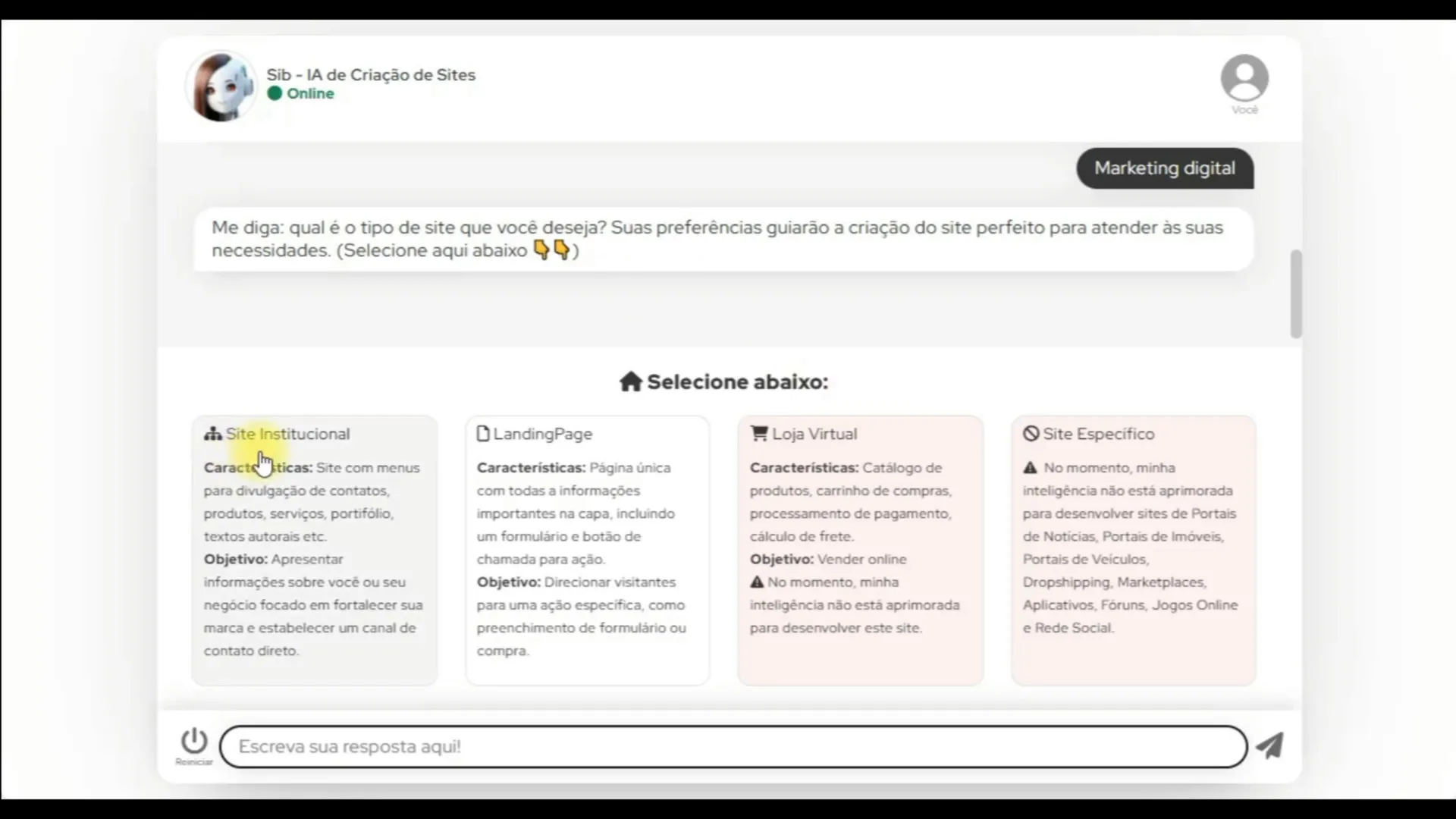 Selecionando o tipo de website