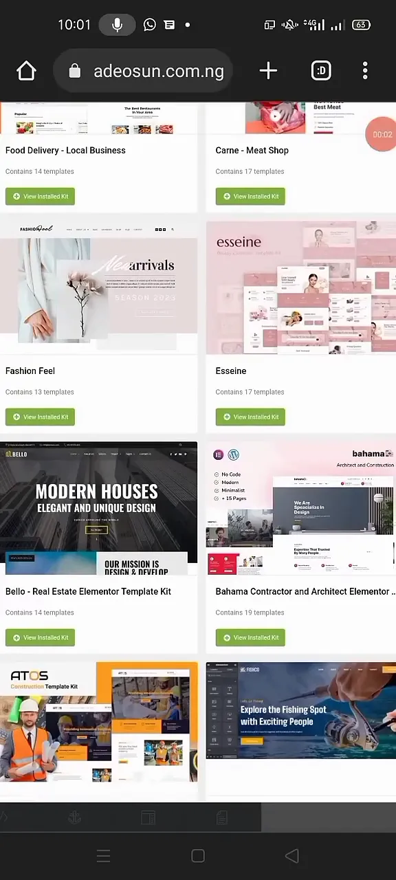 Premium website templates showcase