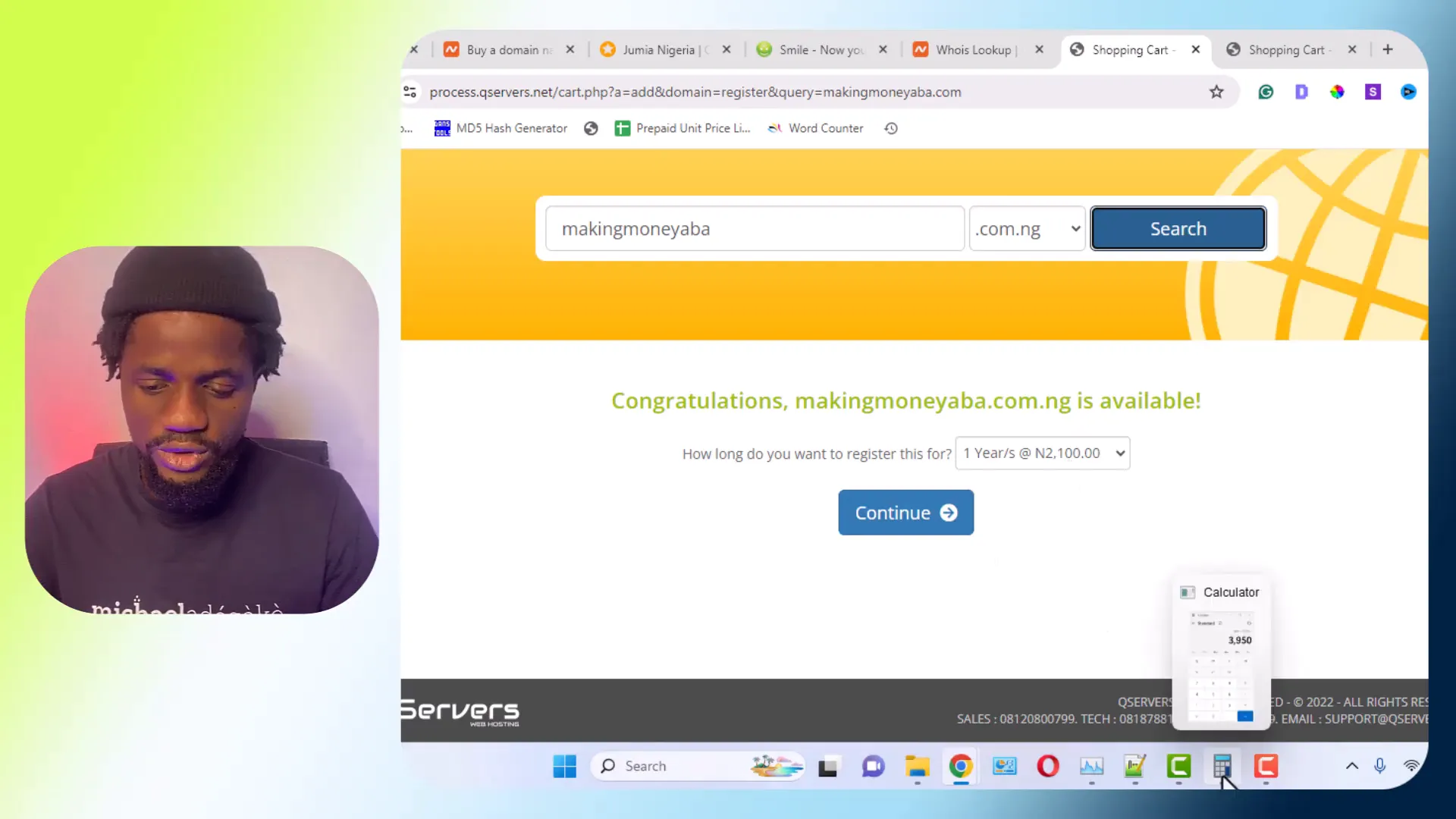 Popular domain extensions