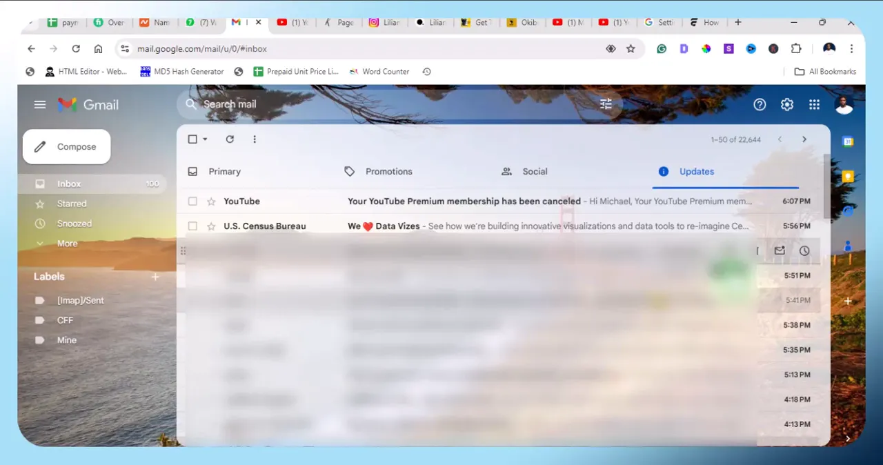 Final thoughts on YouTube Premium subscription