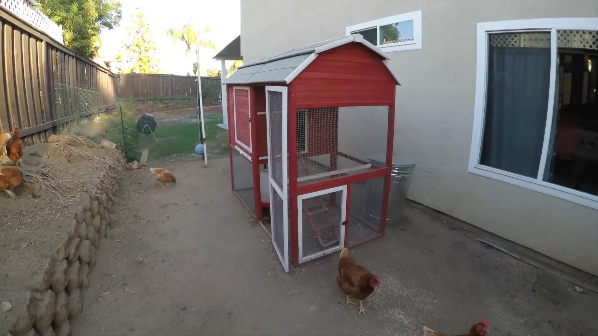 Checking local city ordinance for raising chickens