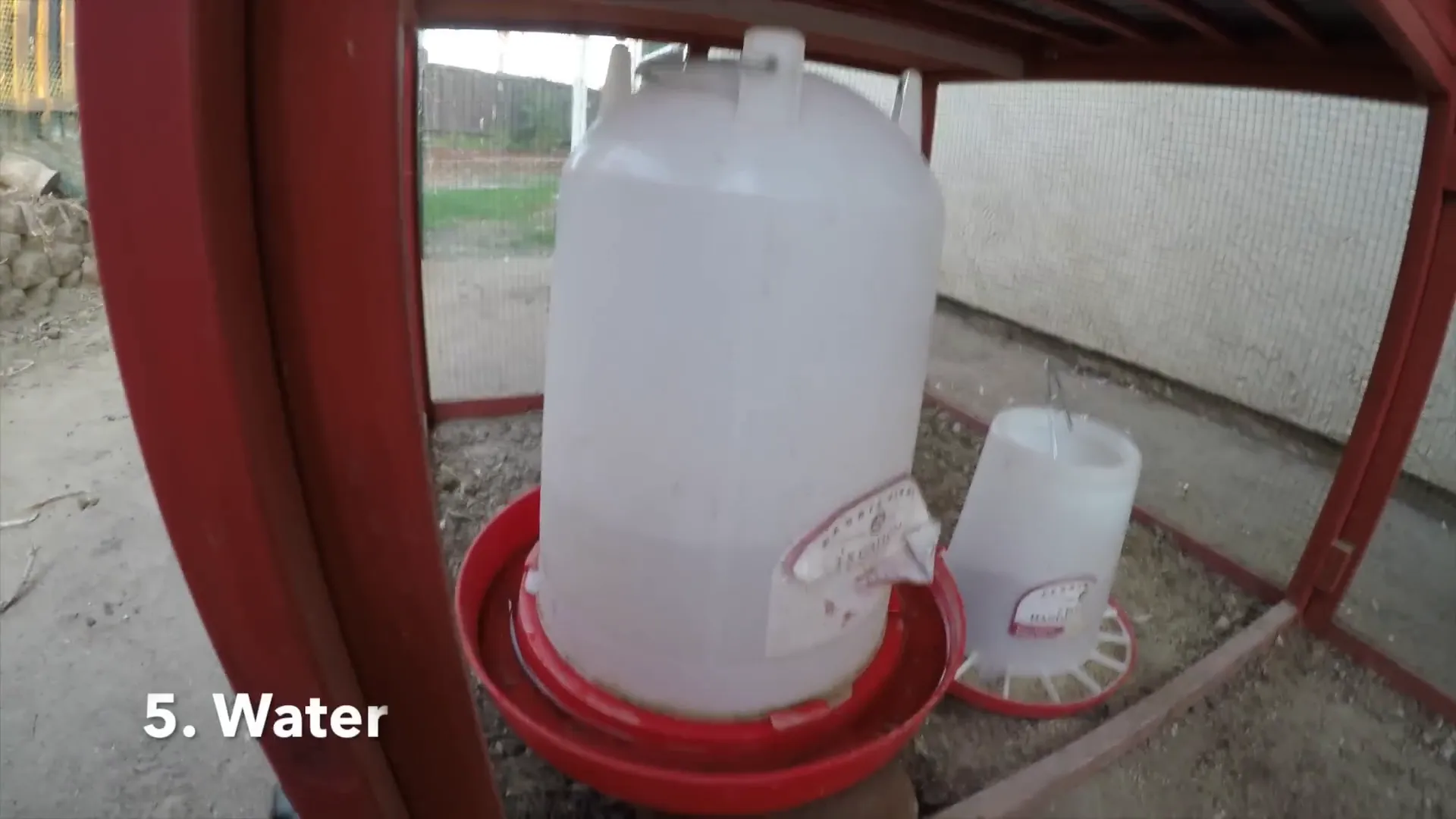 Providing clean water for chickens