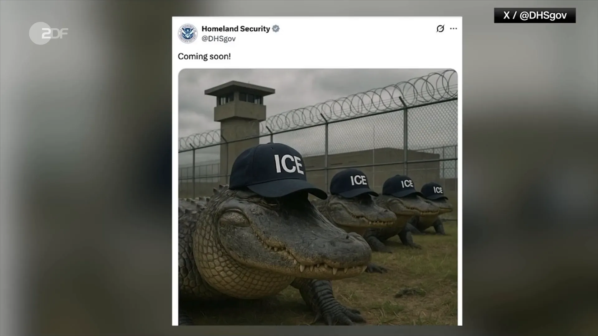Das neue Abschiebegefängnis 'Alligator Alcatraz' in Florida