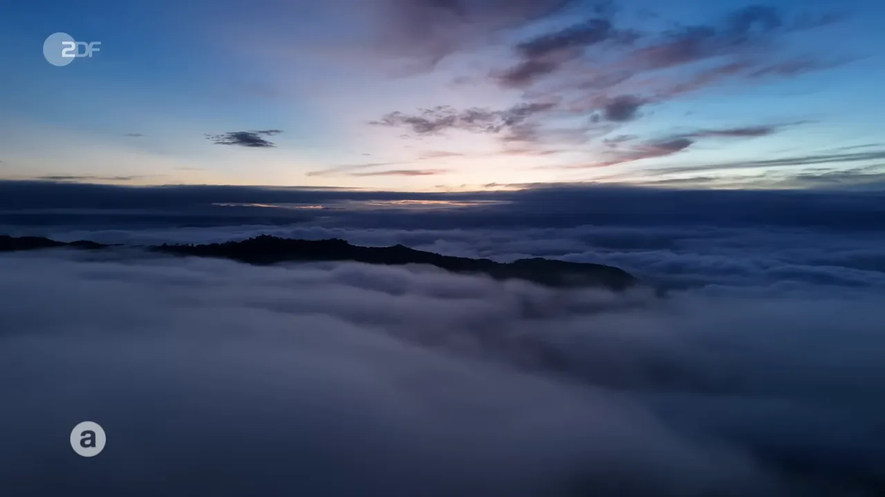 Sonnenaufgang über dem Wolkenmeer in den Jingmai-Bergen