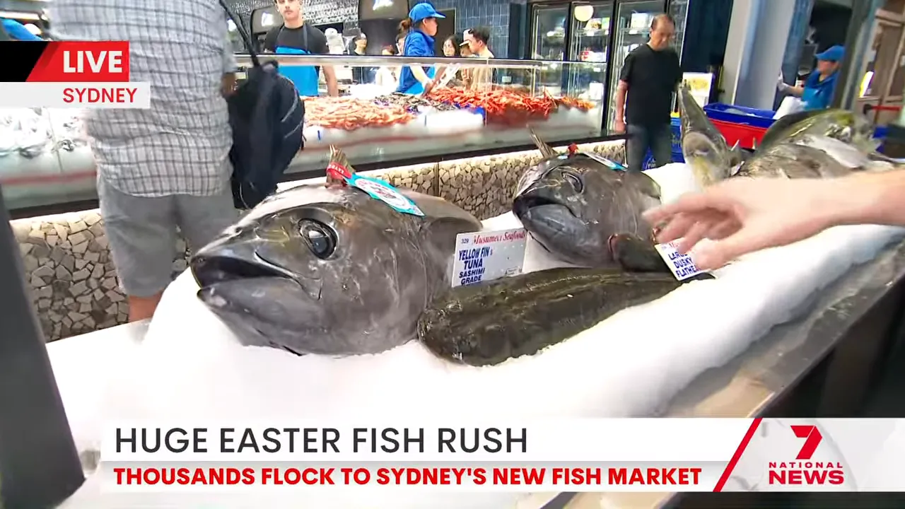 Premium seafood display at Sydney Fish Market during Easter trading including large yellowfin tuna