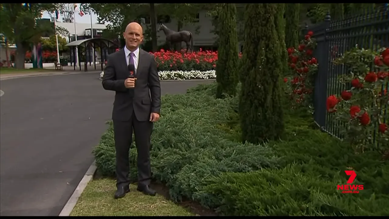 The juniperous conifer near the press area at Flemington that cushioned the fall