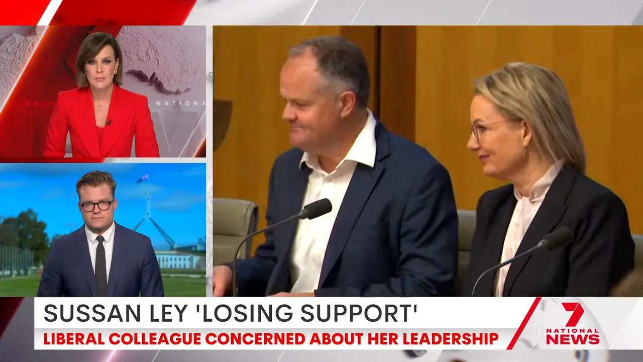 Discussion about the future of net zero in the Liberal Party