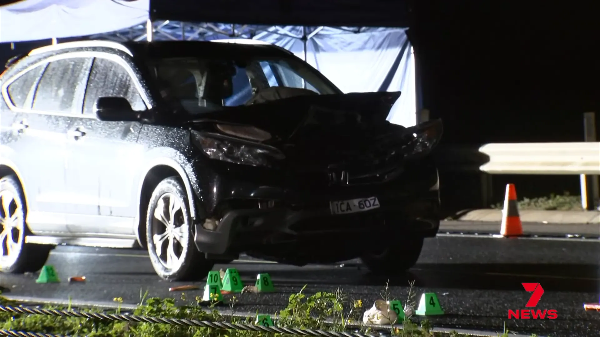 Scene on the roadside where the nurses stopped to help the injured kangaroo