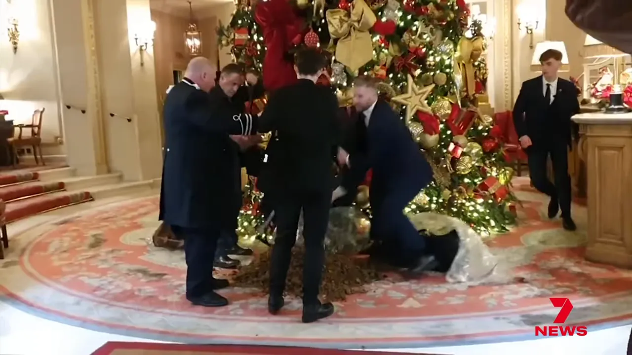 group of hotel staff removing debris under large decorated christmas tree in hotel lobby