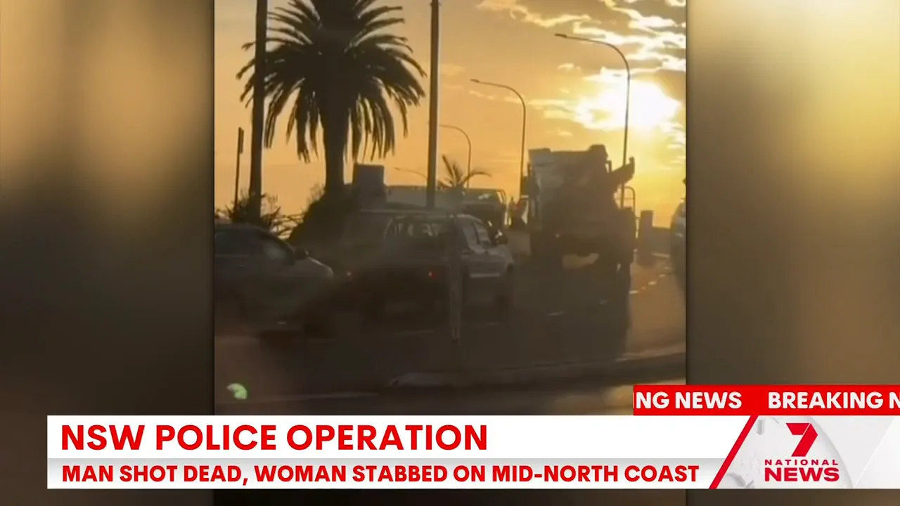 Road scene at sunrise with multiple cars and a truck near palm trees, showing road conditions during the pursuit