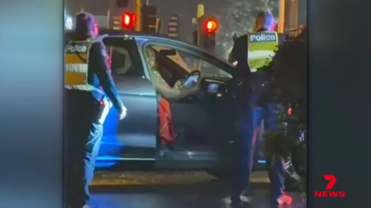 Officer fires a taser at the driver