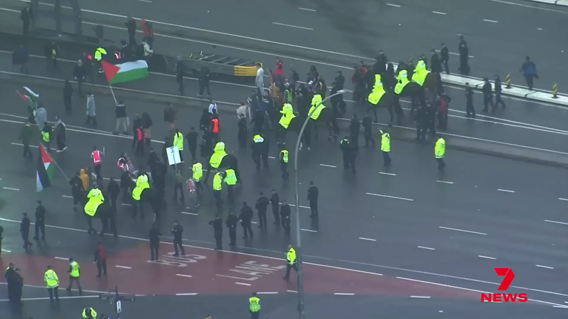 Police horses helping manage the crowd