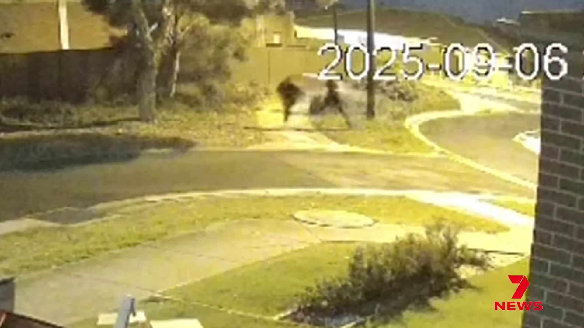 Witnesses describe attackers with machetes