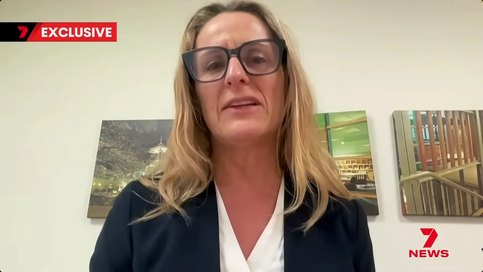 Greens MP Sue Higginson speaking about the law's application to Lane